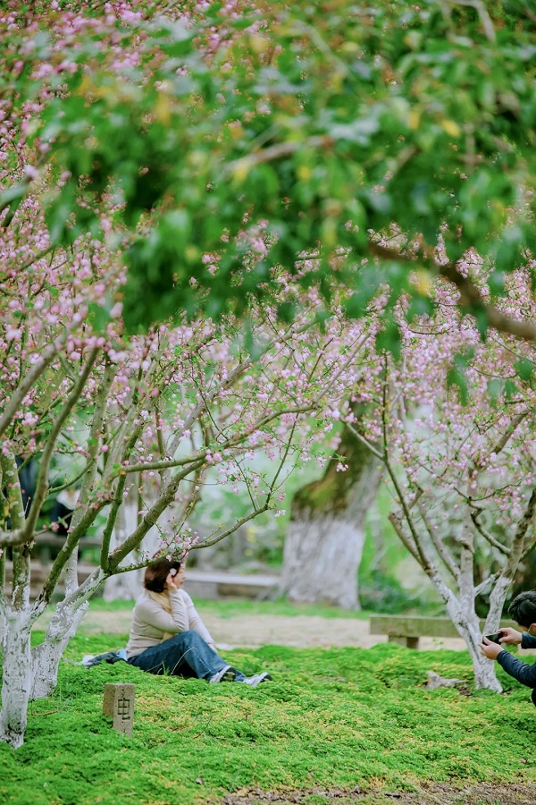 Shanghai Grand View Garden is a legendary classical garden.jpg