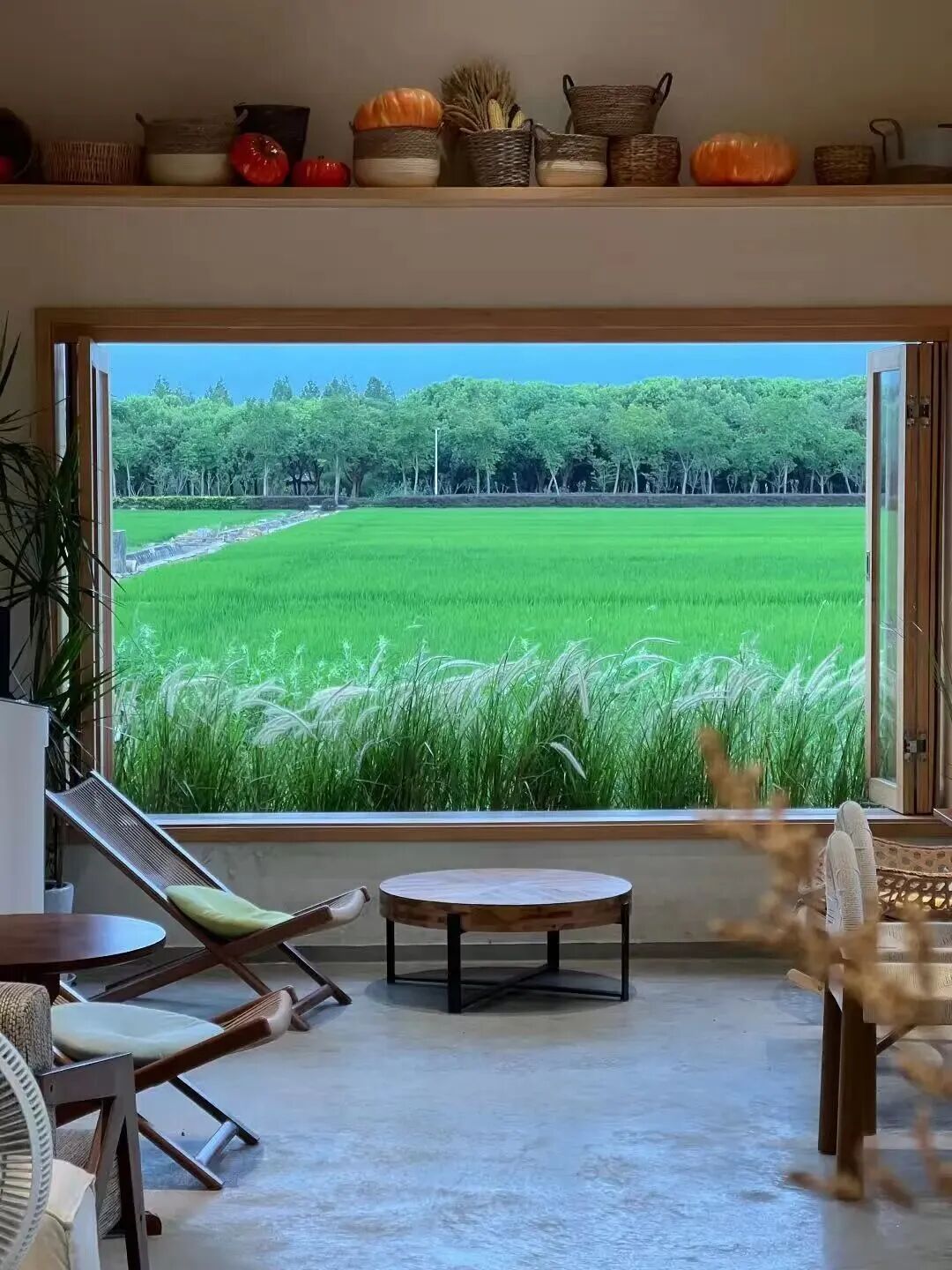 The window frames a tranquil view of the rice fields.jpg