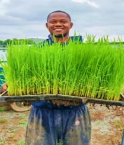 SHOU international postgraduate students excel at academic forum-2.png