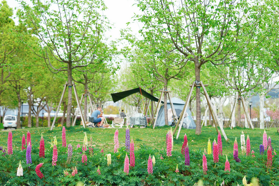 The Pudong Qiantan branch venue of the 2026 Shanghai International Flower Show1.jpeg