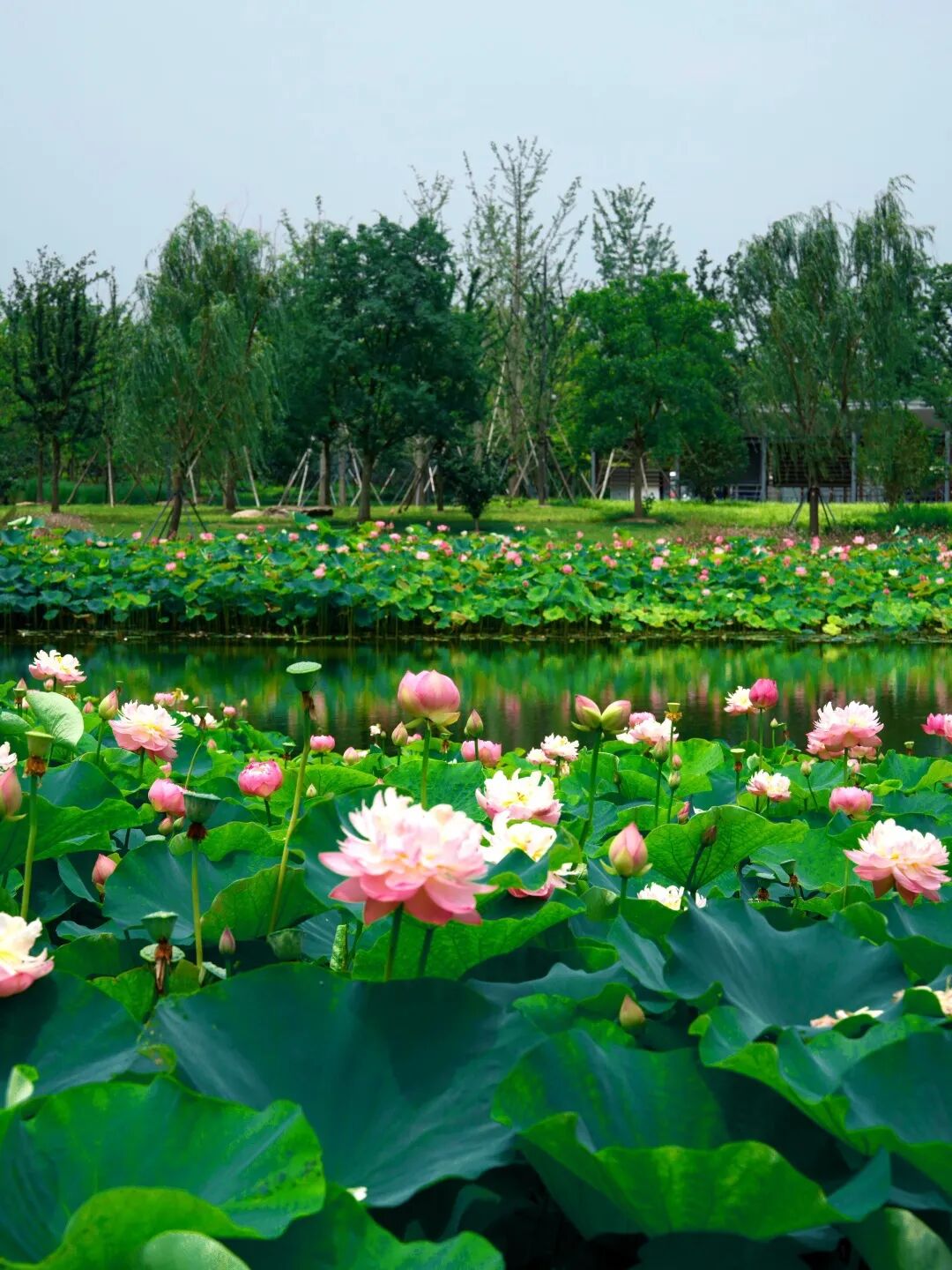 Shanghai Expo Culture Park.jpg