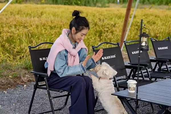 Explore serene cafes in Shanghai's rice fields 