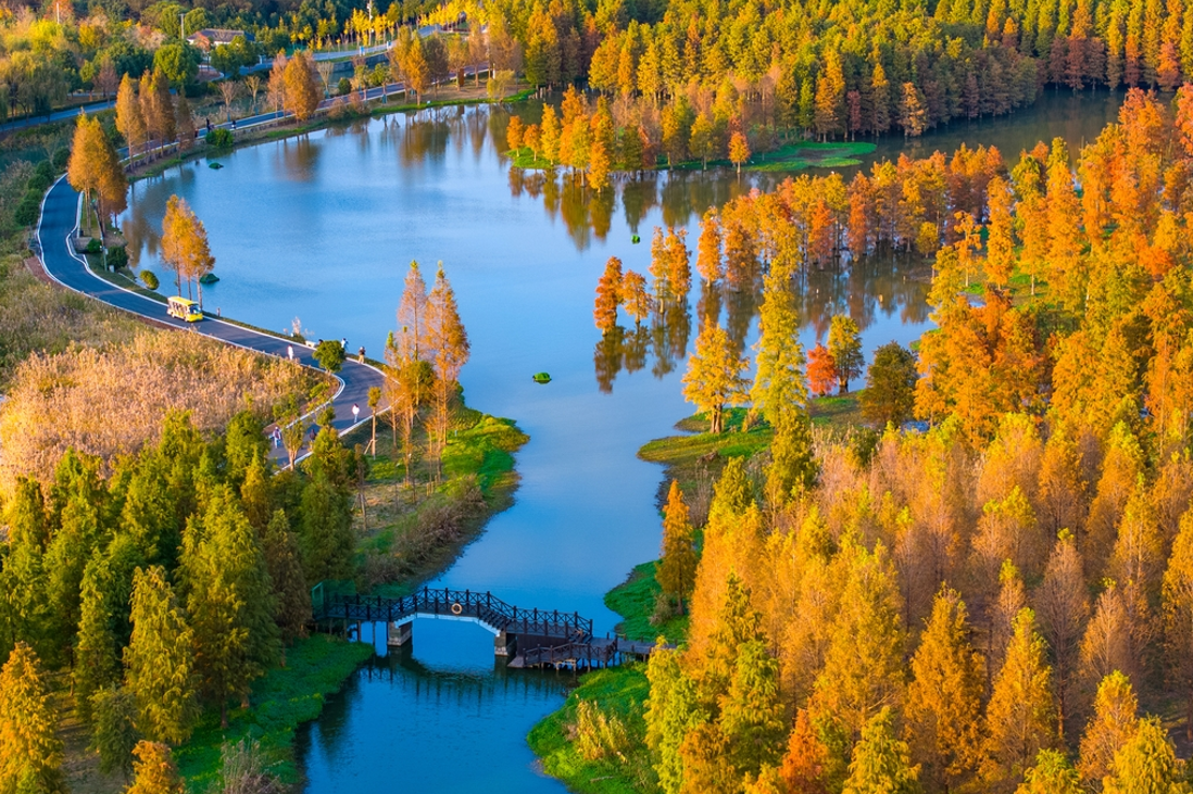 Suburban parks come alive with autumn festivities