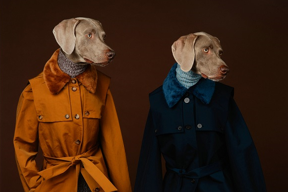 Art season brightens summer in Shanghai