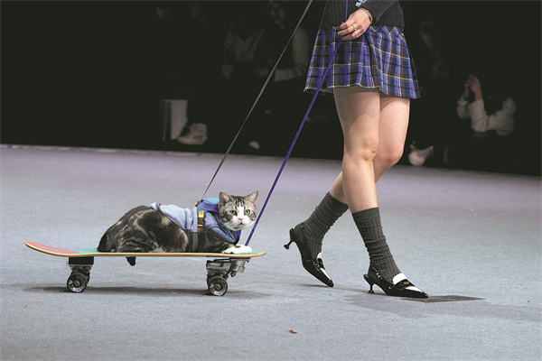4th Petjoy Fashion Week2.jpeg