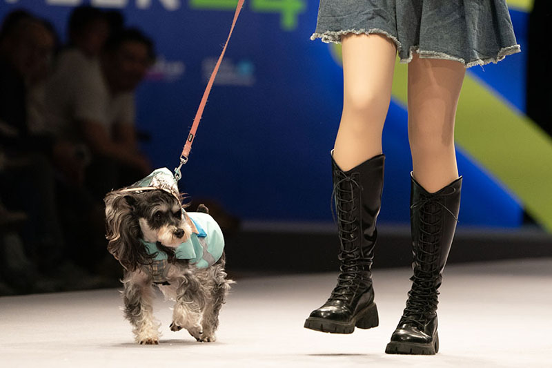 660126a4a31082fc2b6b148f.jpeg 660126a4a31082fc2b6b148f.jpeg