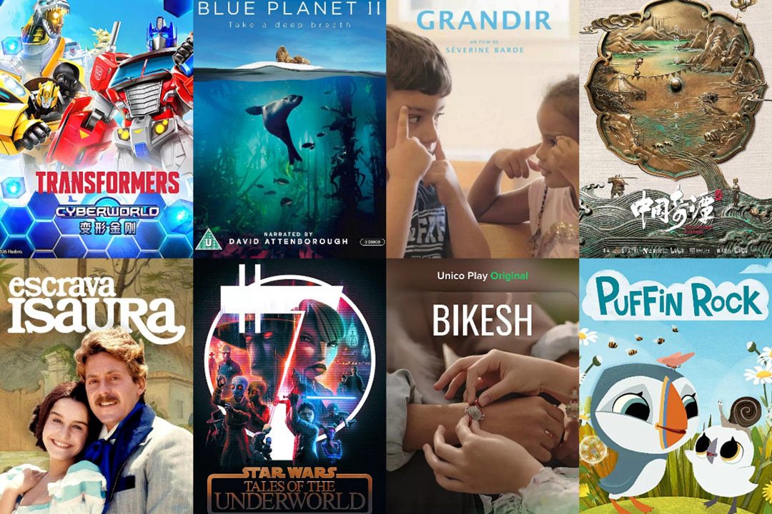 31st STVF unveils public screening schedule