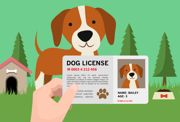 How to get a dog license