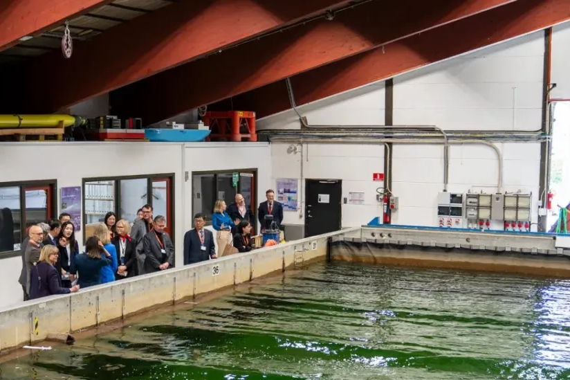 DHI China strengthens commitment to Hongkou