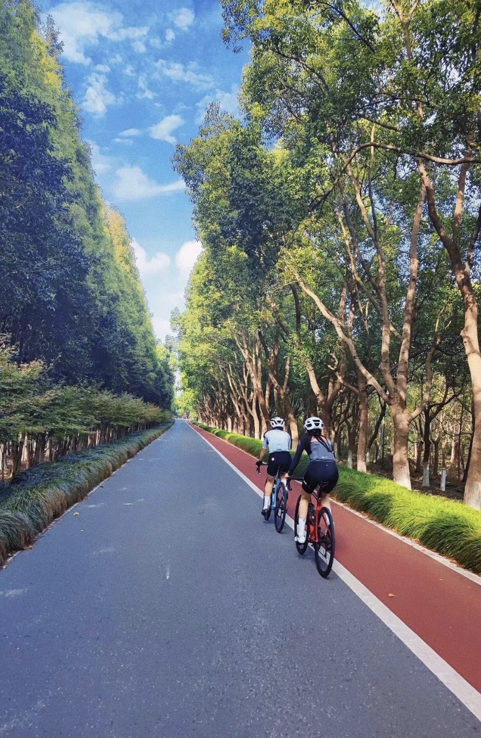 cycling routes 2.png