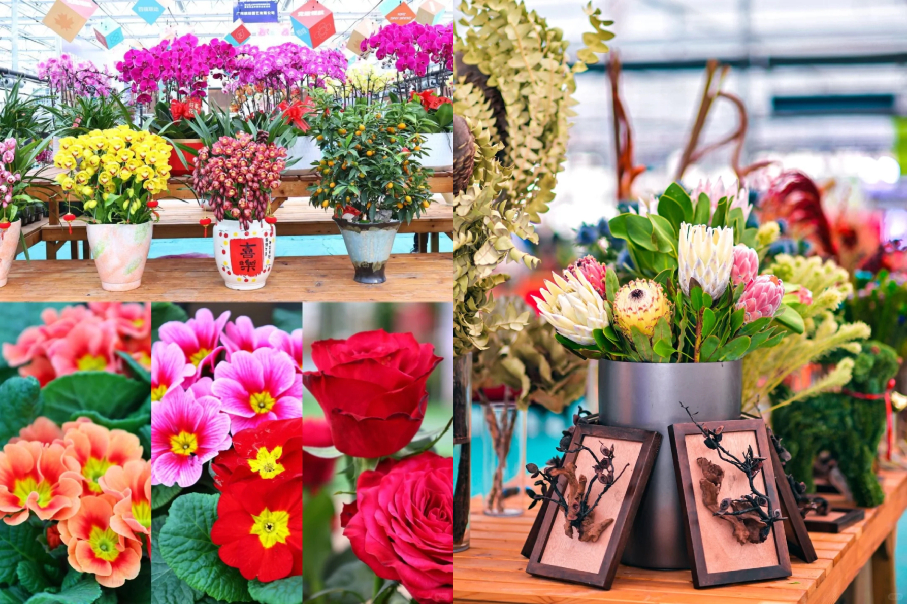 Where to buy Chinese New Year flowers in the city