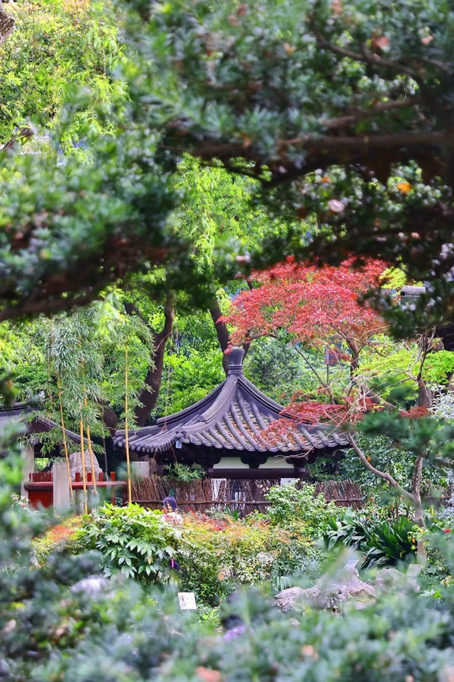 Stroll through the garden and savor the endless natural charm.jpg
