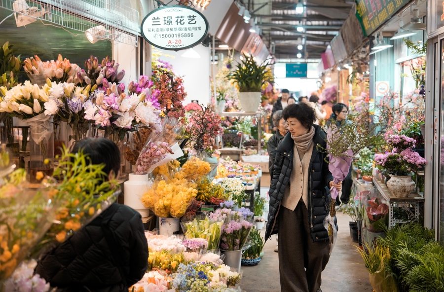Hongqiao flower market reopens with new green space, pet store 