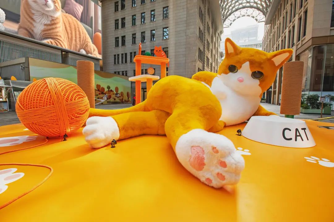 Enormous cat art installation in Huangpu captivates visitors