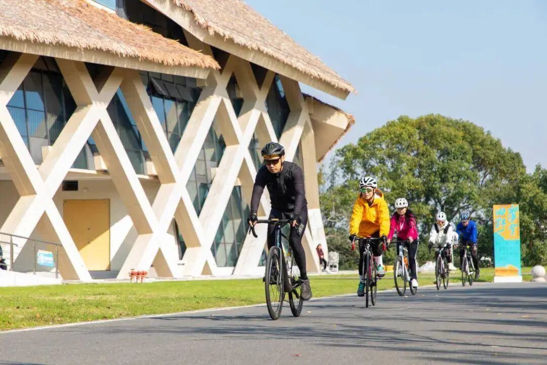 Cycling tour in Shanghai's Fengxian Bay opens registration