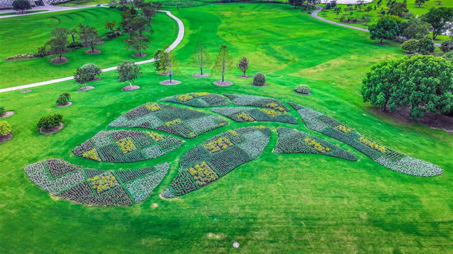 Botanic garden hosts nature carnival during holiday