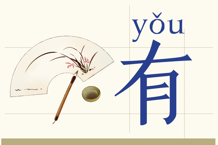 Use of 有 (yǒu) in Chinese sentences