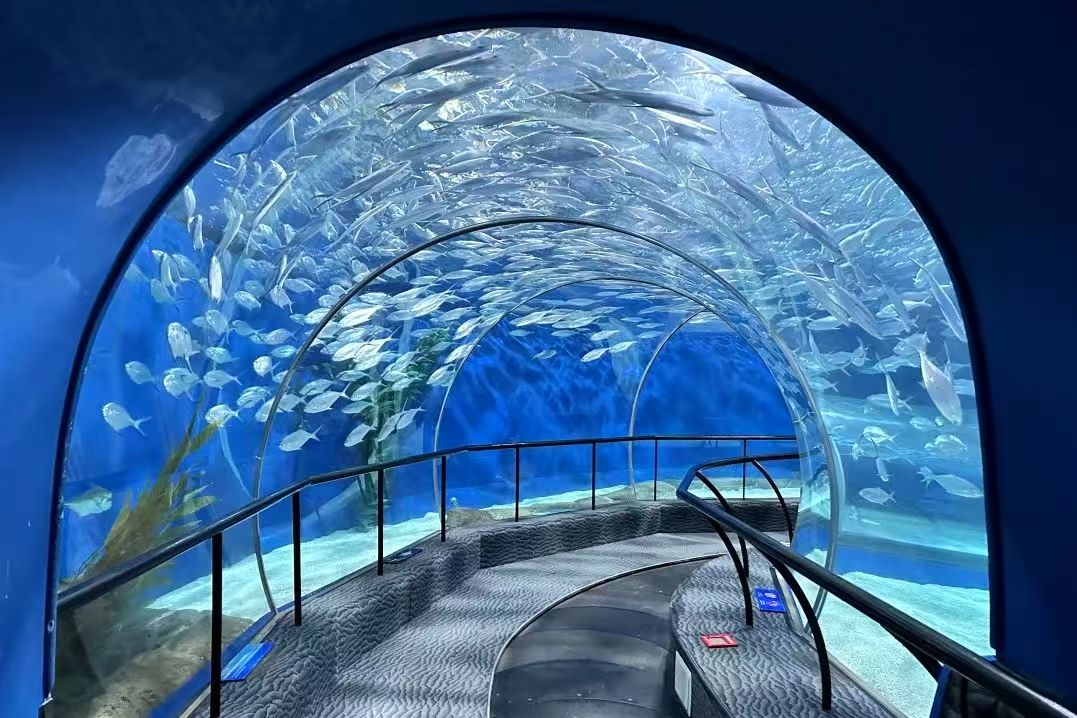 The underwater tunnel at Shanghai Ocean Aquarium.jpg