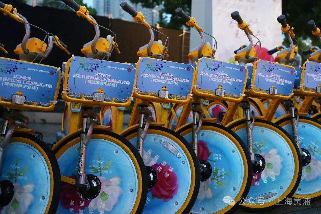 花卉节共享单车.jpg