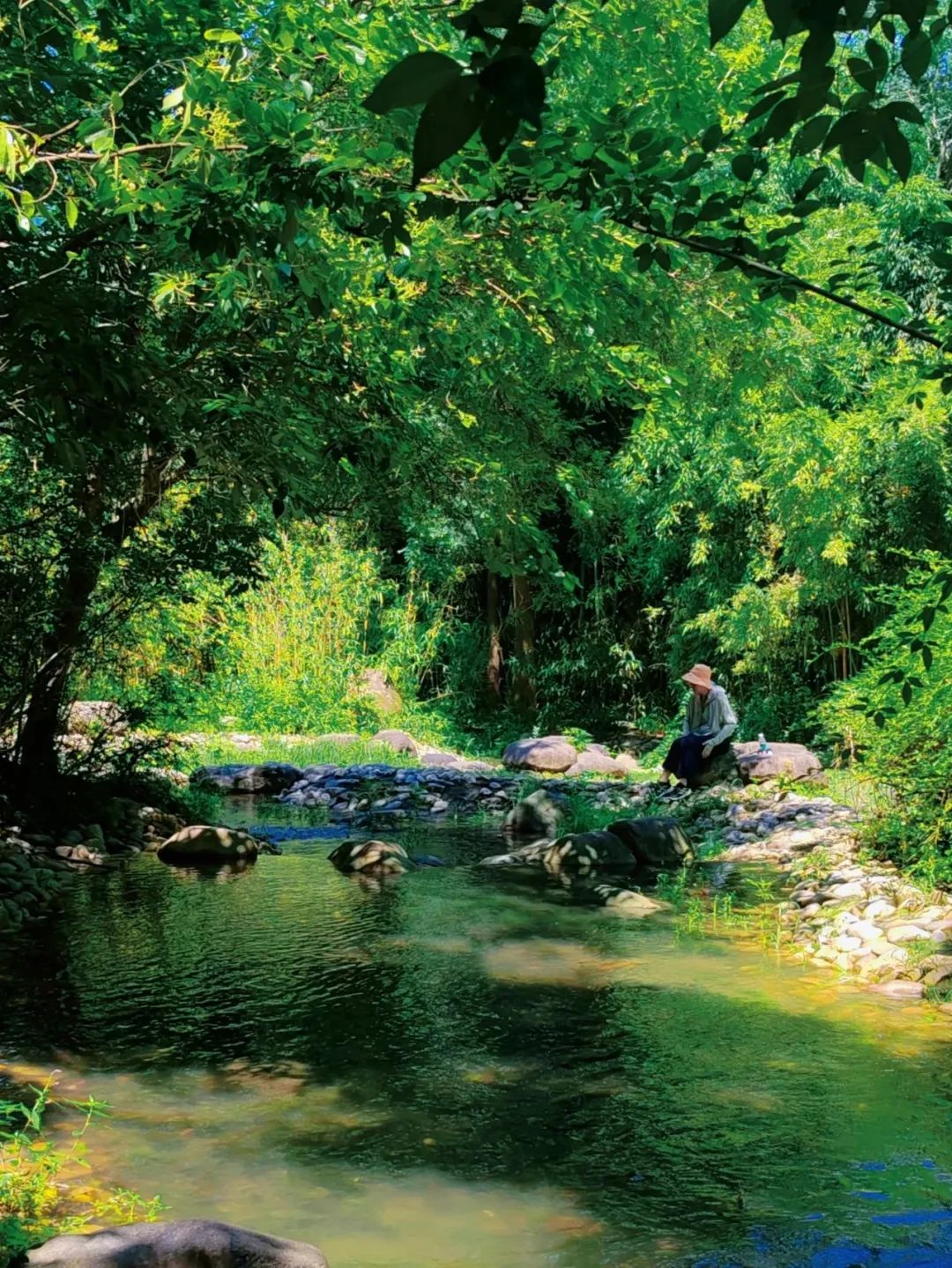 A visitor relaxes by the creek, framed by the backdrop of a bamboo forest.jpg
