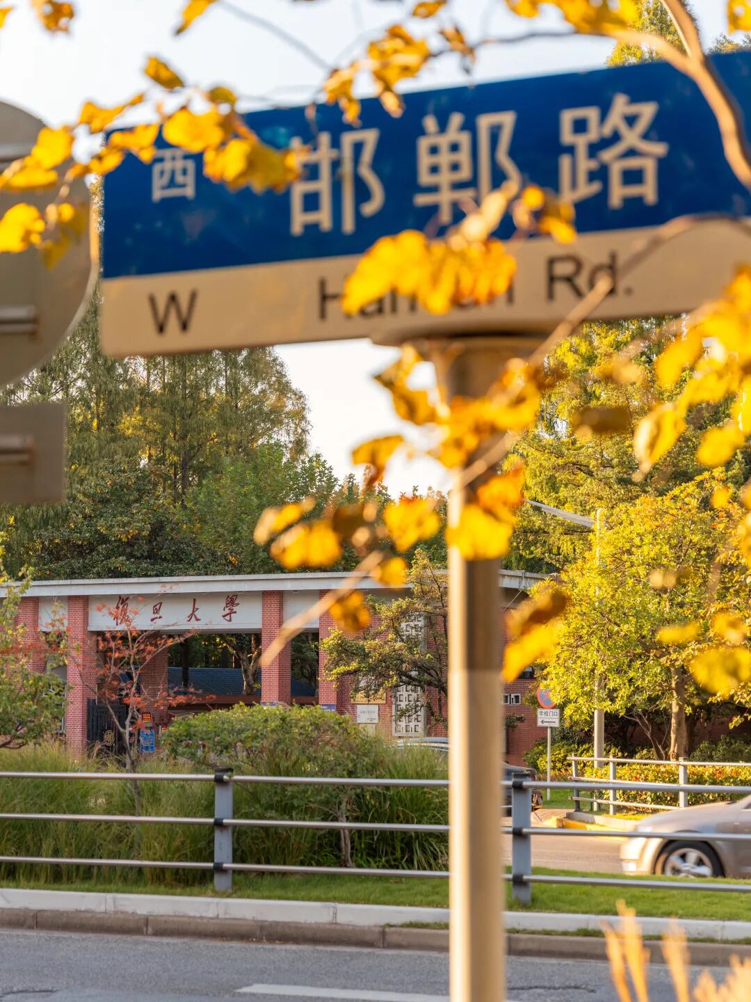 Autumn leaves have turned golden outside the Handan Road campus.jpg