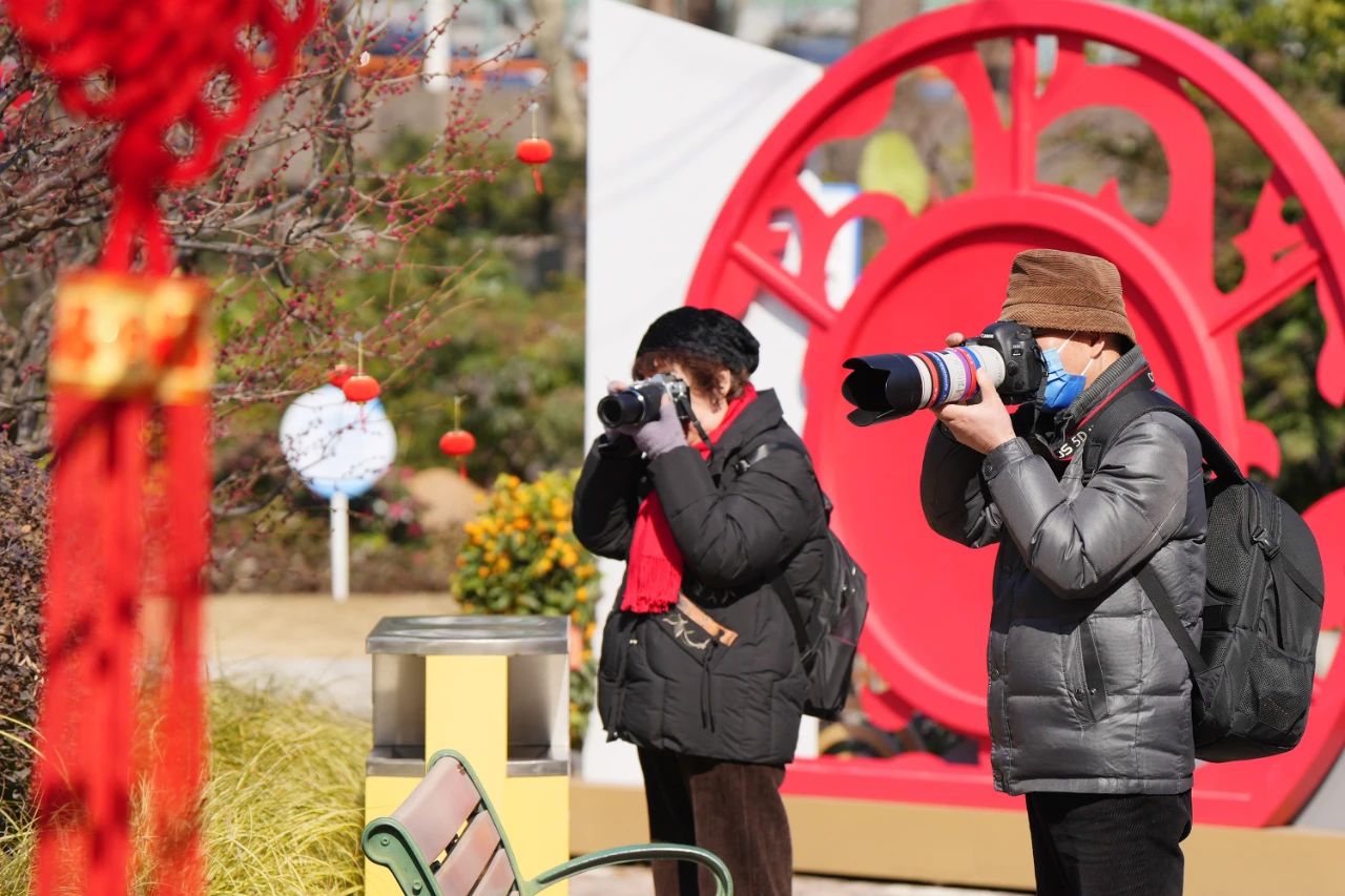 Meichuan Park hosts plum blossom exhibition to welcome Year of the Snake