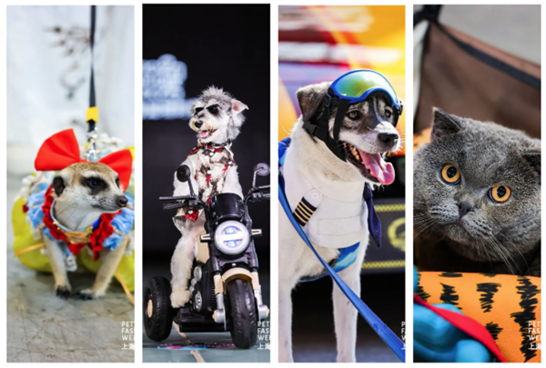 Petjoy Fashion Week to open at end of month