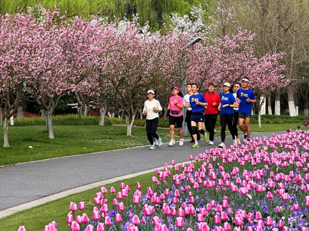 Minhang Sports Park2.jpg