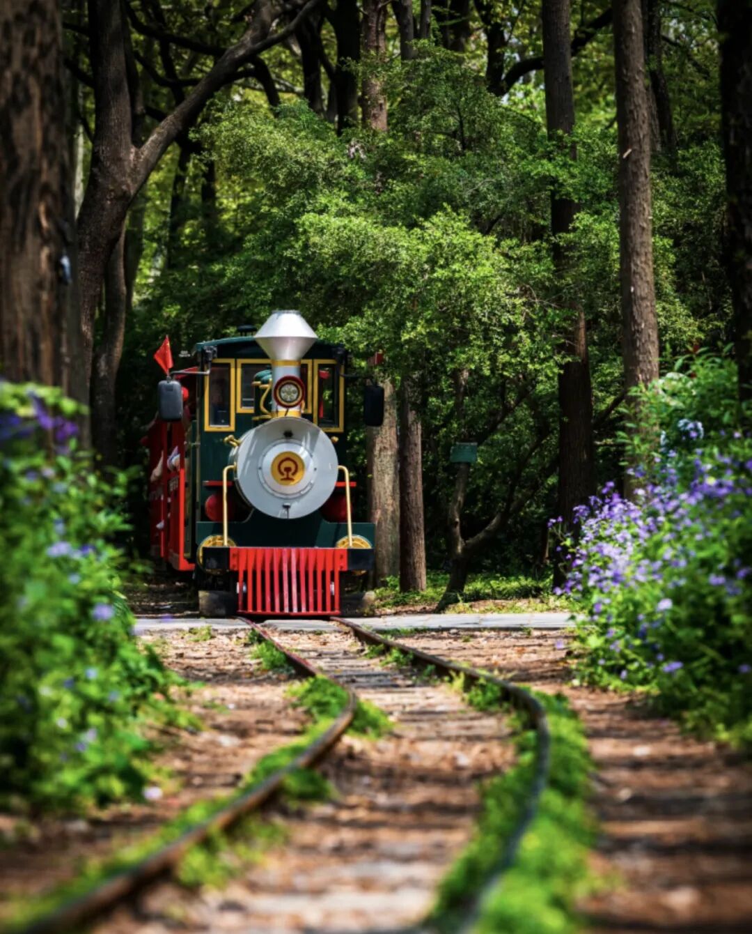 Gongqing National Forest Park train.jpg