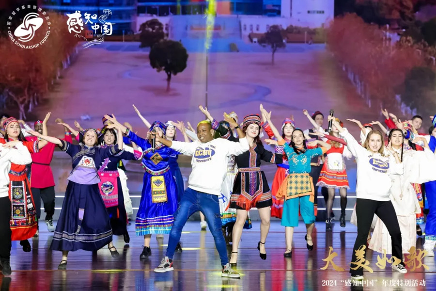 Song and dance performance.jpg