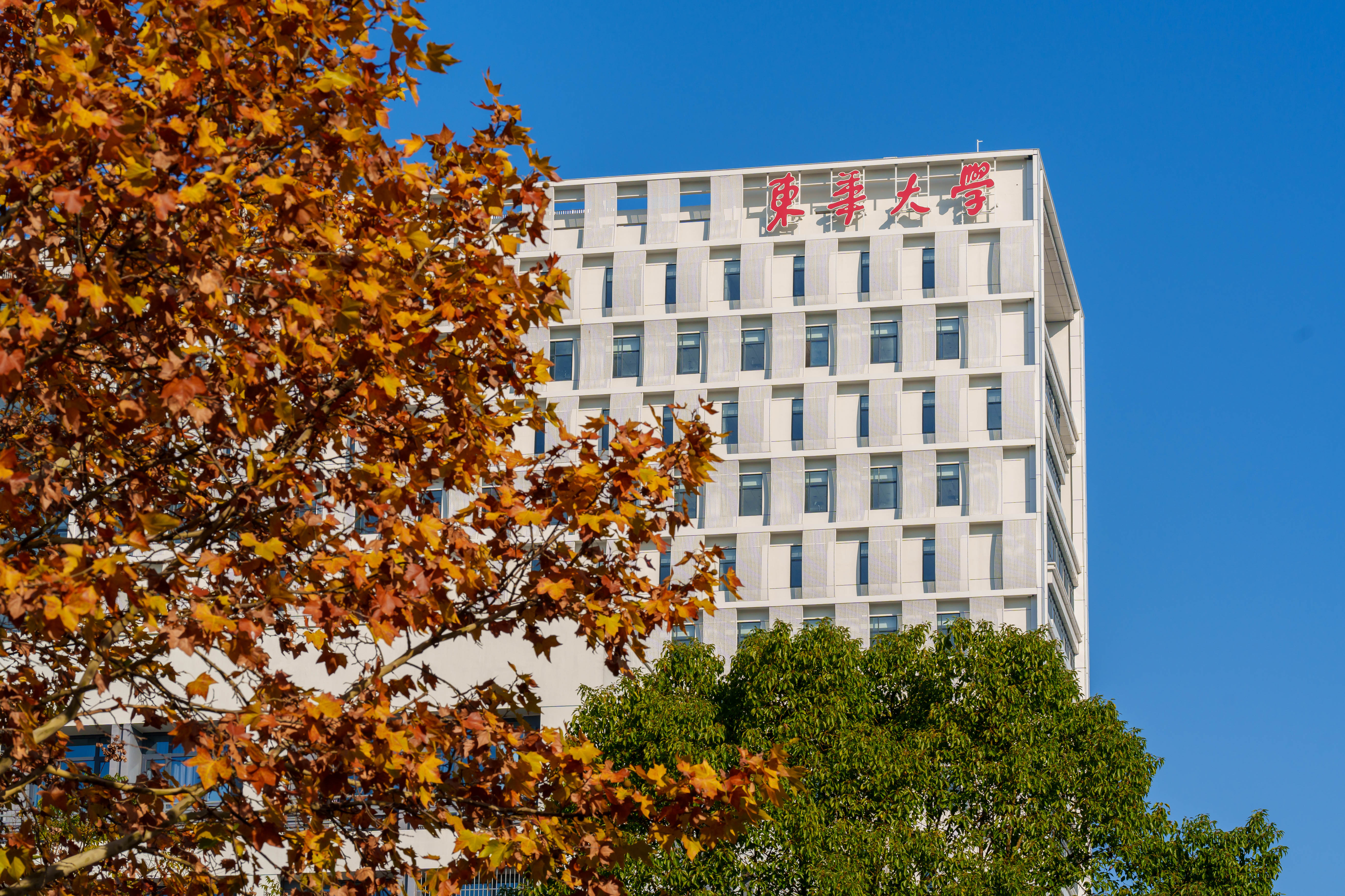 东华-2.jpg