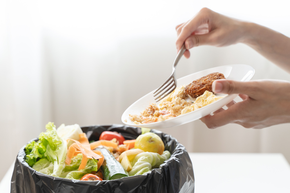 New tech converts leftovers into green fuel for ships