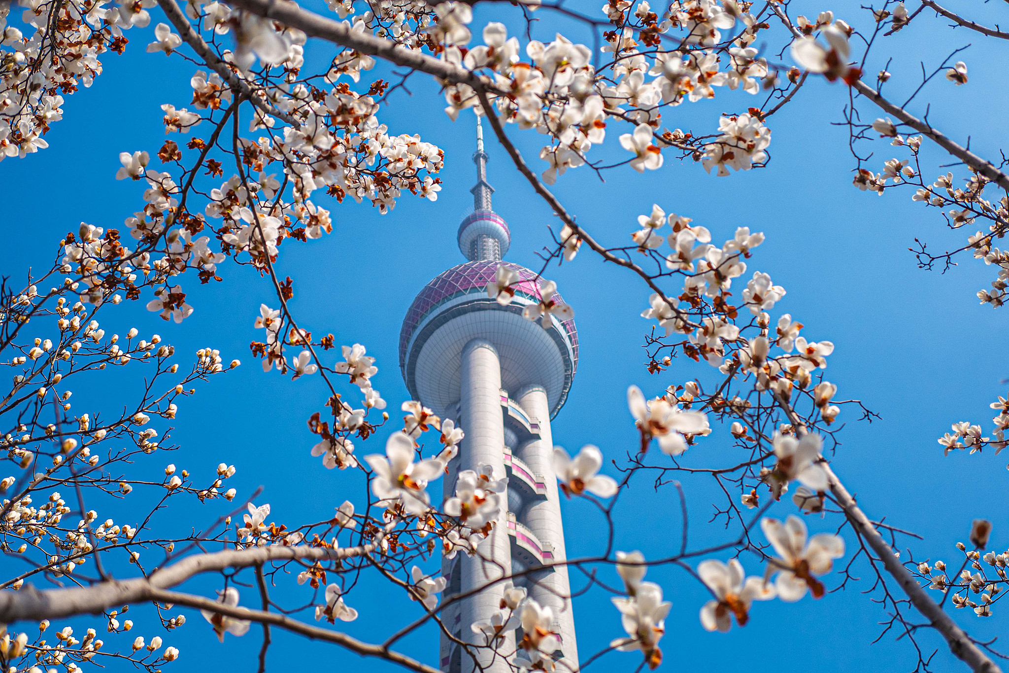 Oriental Pearl Tower