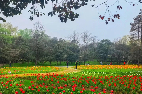 All parks in Pudong to open 24/7