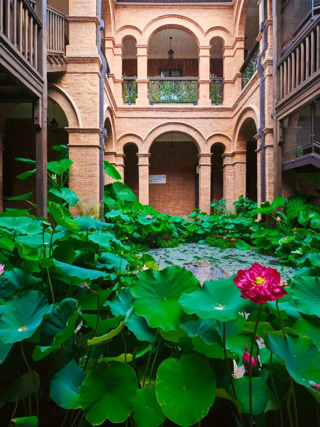 Maison Florale.jpg