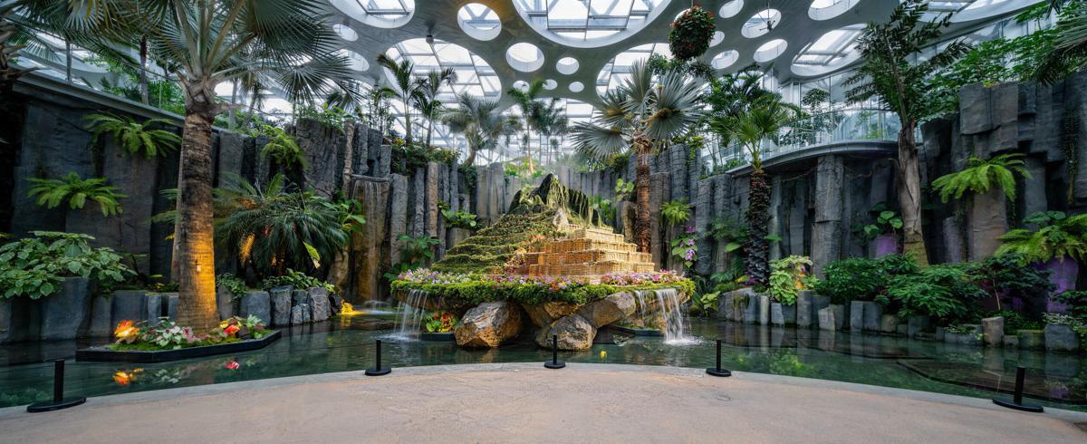 Shanghai park to launch American plant exhibition2.jpeg