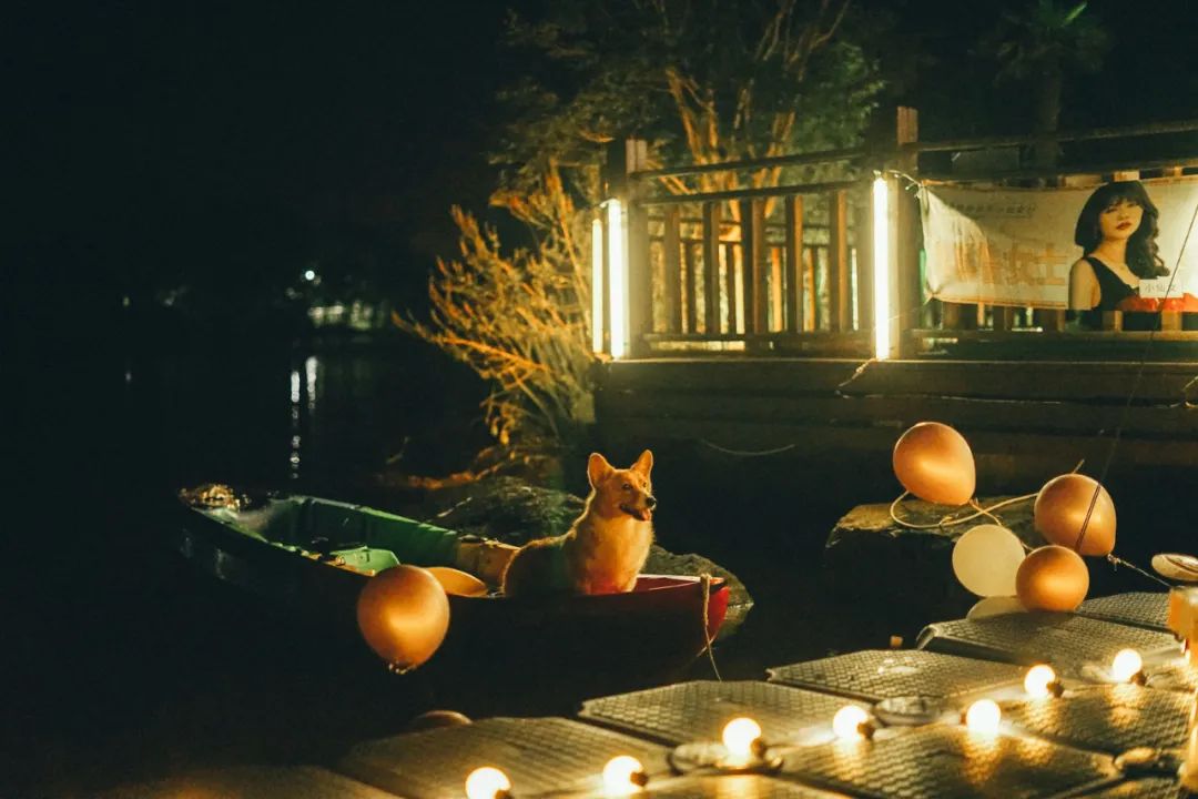 Experience nighttime paddling adventures at M Island campsite1.jpg