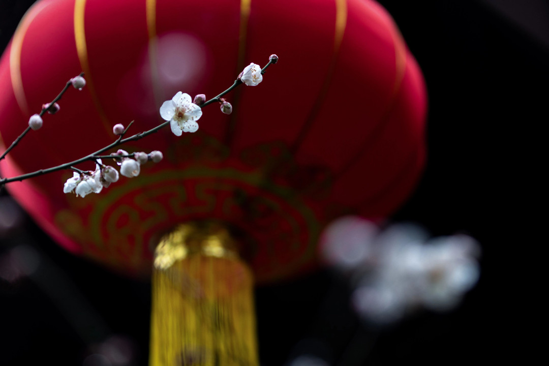Celebrate this Spring Festival Shanghai-style via city's living heritage