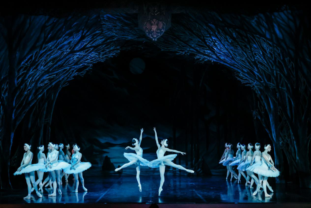 Swan Lake.png