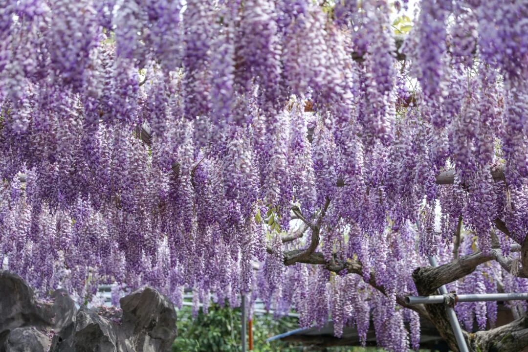 Shanghai Expo Culture Park.jpg