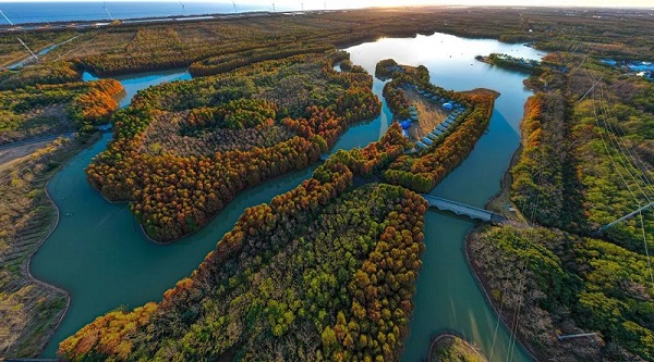 Haiwan National Forest Park