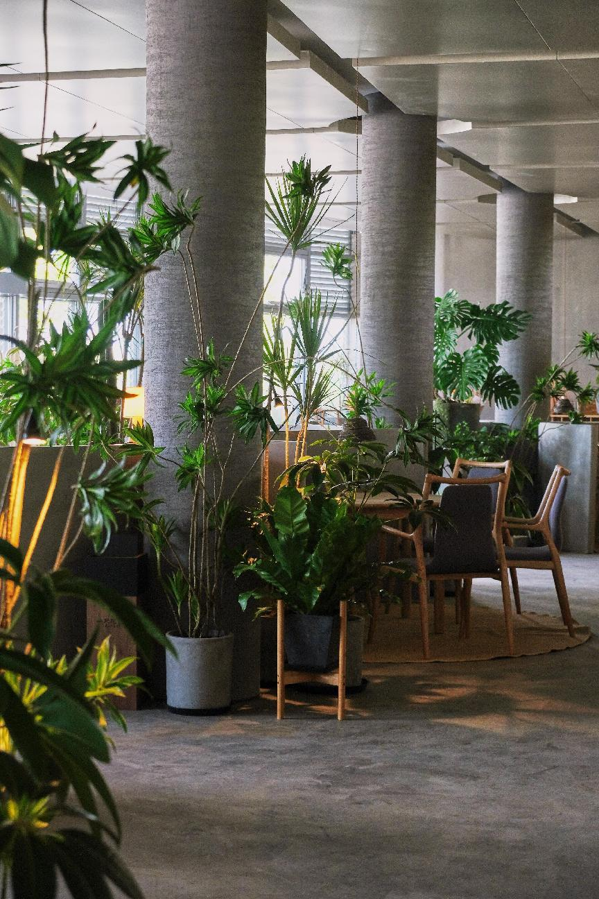 One Step Garden (TOP Central Park Store).png