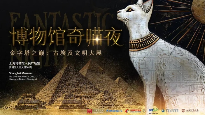 It's cat's night at Shanghai Museum 