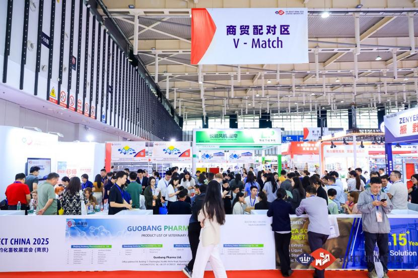 Shanghai livestock expo to draw 550 exhibitors from 20 countries and regions