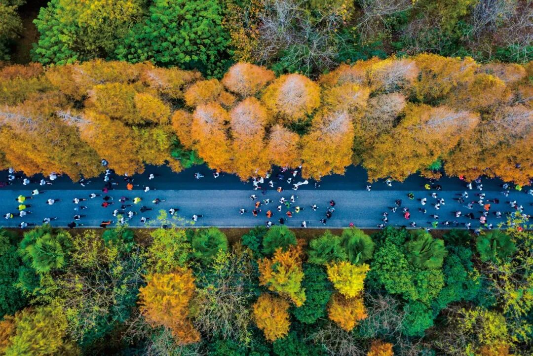 Register now for Shanghai Fengxian Haiwan Forest Half Marathon!