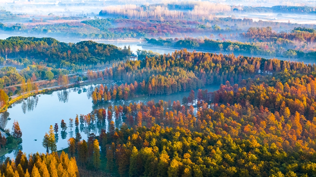 2169551598145765384 (1).jpg