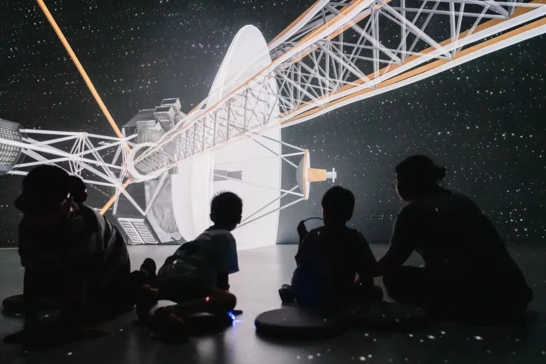 Visitors experience the projection within an immersive environment.jpg