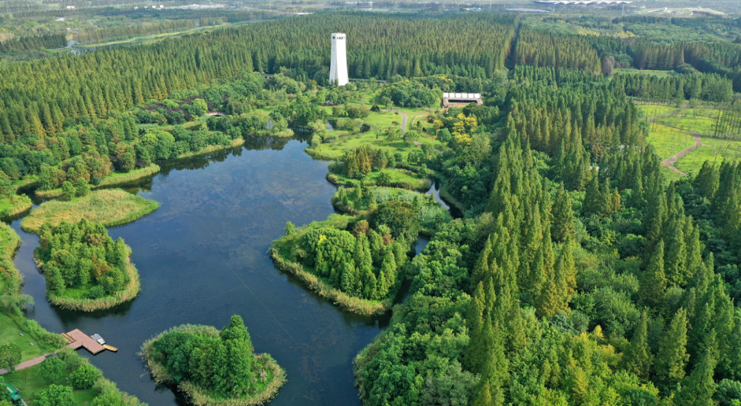 Dongping National Forest Park in Chongming.png