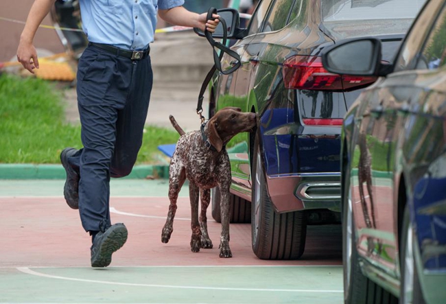 Police dogs showcase skills in Shanghai2.jpg Police dogs showcase skills in Shanghai2.jpg