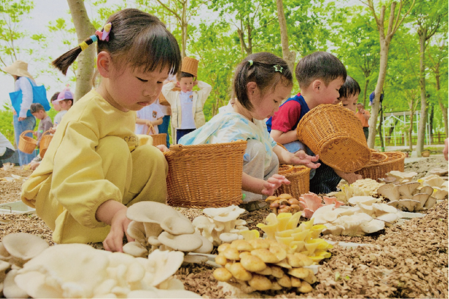 Countryside Escapes | Qingpu: Farms, art, and waterside villages